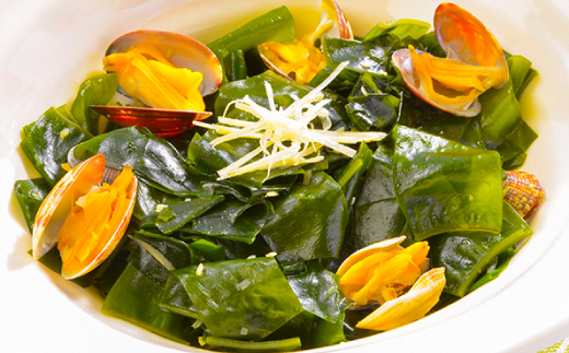 【三陸重茂産わかめ】湯通し塩蔵　肉厚わかめ　500g【配送不可地域：離島】