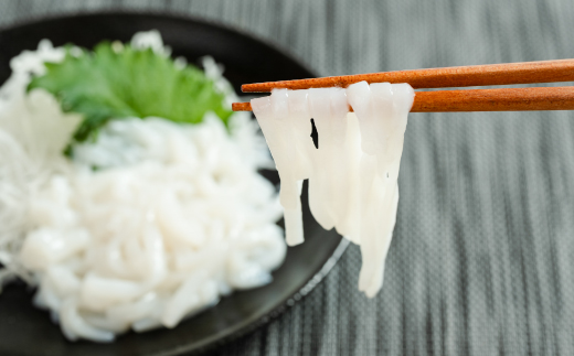 ヤリイカソーメン宮古産100g×5パック(500g)【配送不可地域：離島】