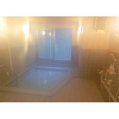 横沢温泉静峰苑「1泊3食付きペア宿泊券」+木の博物館チケット1名様