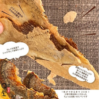 【かれい専門店】宮古で獲れた かれいまるごと魚拓せんべい　直径15cm超　3枚