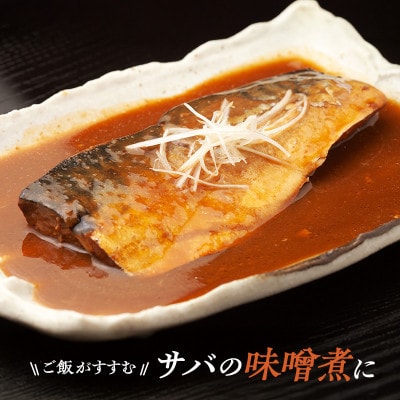 国産 天然 塩鯖 フィレ 骨取り 三陸の恵み 冷凍 2kg 500g×4袋 岩手県宮古市【配送不可地域：離島】