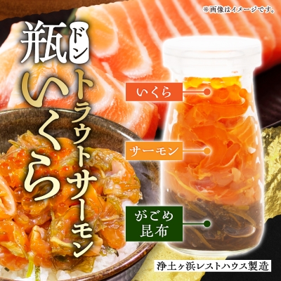 瓶ドン イカ タコ トラウトサーモンいくら 1本 3本セット 海鮮丼 お取り寄せ 冷凍 お手軽【配送不可地域：離島】