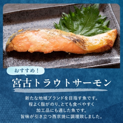 三陸宮古トラウトサーモン・ナメタ煮物他【加熱調理済み惣菜6種セット】【配送不可地域：離島】