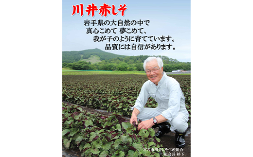 川井ペリーラ飲料 720ml×12本