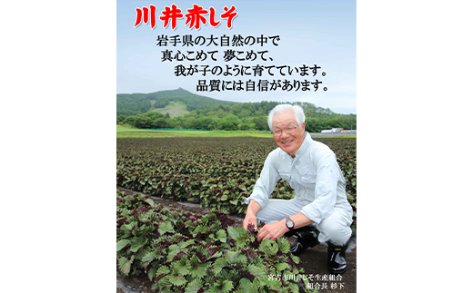 川井ペリーラ飲料 720ml×2本