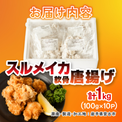 スルメイカ軟骨唐揚げ100g×10パック(1kg)【配送不可地域：離島】