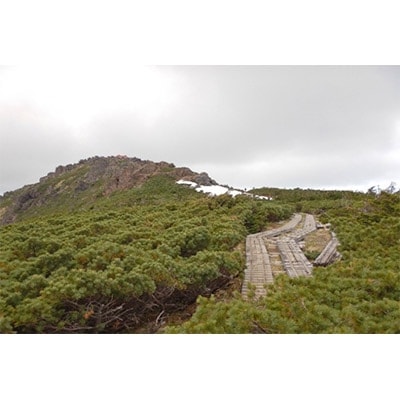 横沢温泉静峰苑「1泊3食付きペア宿泊券」+木の博物館チケット1名様