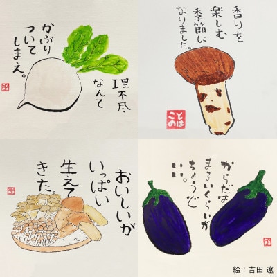 【新鮮野菜】こだわり厳選!旬の野菜セット【配送不可地域：離島・北海道・沖縄県】