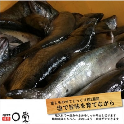 三陸の伝統的な製法でつくる寒風干し鮭 切身セット (150g×8パック)【配送不可地域：離島】