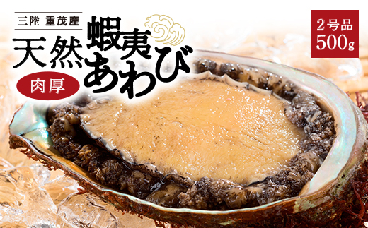 【三陸重茂産】天然　蝦夷あわび(2号品)500g(冷凍)【配送不可地域：離島】