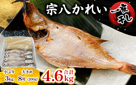 一夜干し宗八かれい4.6kgセット【配送不可地域：離島】
