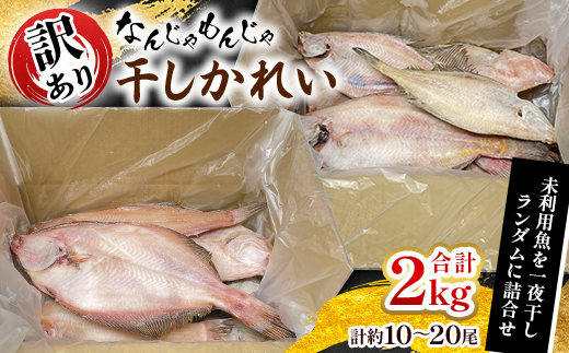 なんじゃもんじゃ訳あり未利用魚かれい　2kgセット【配送不可地域：離島】