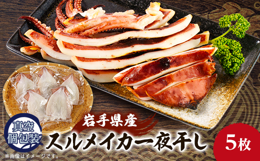 スルメイカの一夜干し5枚セット【配送不可地域：離島】