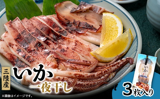 イカ一夜干し3枚入×1p【配送不可地域：離島】
