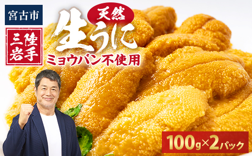 【2026年4月下旬以降順次発送】天然生うに100g×2パック岩手県産　ミョウバン不使用【配送不可地域：離島・沖縄県・九州】