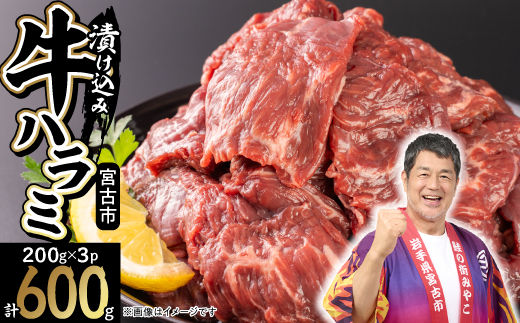 吉田精肉店の漬け込み牛ハラミ 600g(200g×3パック)【配送不可地域：離島】