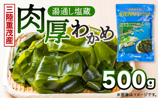 【三陸重茂産わかめ】湯通し塩蔵　肉厚わかめ　500g【配送不可地域：離島】