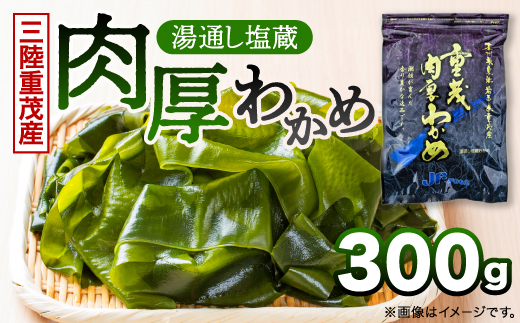 【三陸重茂産わかめ】湯通し塩蔵　肉厚わかめ　300g【配送不可地域：離島】