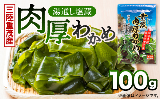 【三陸重茂産わかめ】湯通し塩蔵　肉厚わかめ　100g【配送不可地域：離島】