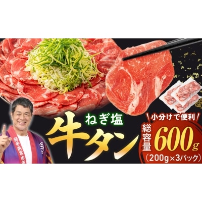 【訳あり】宮古のねぎ塩牛タン 600g 成型肉【配送不可地域：離島】