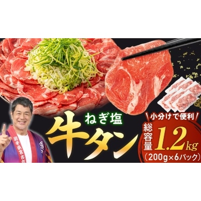 【訳あり】宮古のねぎ塩牛タン 1.2kg 成型肉【配送不可地域：離島】