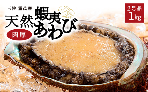 【三陸重茂産】天然　蝦夷あわび(2号品) 1kg(冷凍)【配送不可地域：離島】