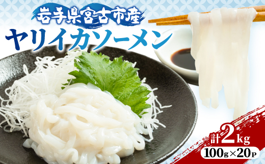 ヤリイカソーメン宮古産100g×20パック(2kg)【配送不可地域：離島】