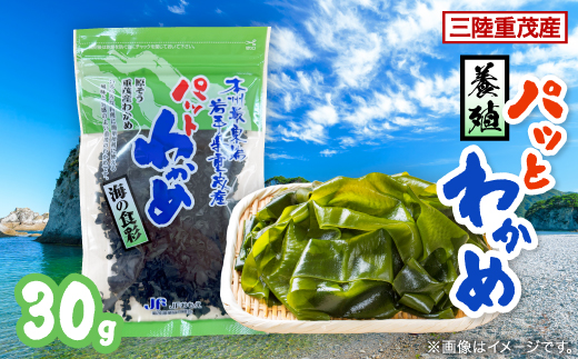 【三陸重茂産わかめ】養殖パッとわかめ 30g