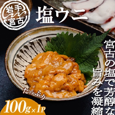 塩うに100g×1ケ　三陸宮古産【配送不可地域：離島】