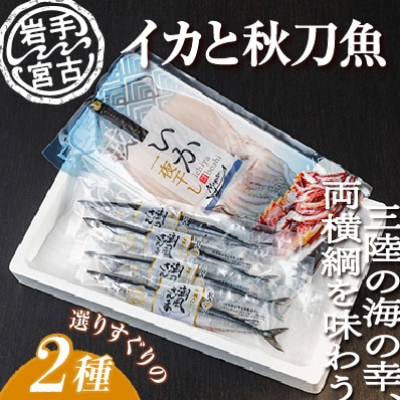 いか一夜干し1p・潮風さんま4本 2種セット【配送不可地域：離島】
