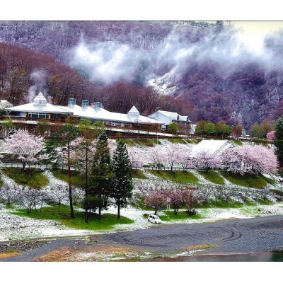 湯ったり館入浴回数券「10回券」