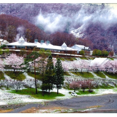 湯ったり館　湯ったりコースペア宿泊券(1泊2食)