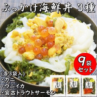 メカブ・イクラ入り!川秀のぶっかけ海鮮丼の具(ウニイカ・カニ・宮古トラウトサーモン)計9袋冷凍セット【配送不可地域：離島】