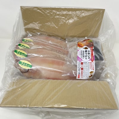一夜干しかれい「ヒレグロ 4尾」と「かれいの煮つけ」を得意料理にするセット MM0268【配送不可地域：離島】