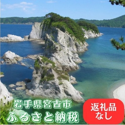 【返礼品なし】岩手県宮古市への寄附(100,000円)