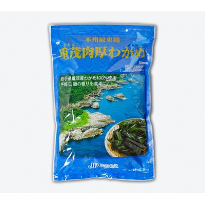 【三陸重茂産わかめ】湯通し塩蔵　肉厚わかめ　500g【配送不可地域：離島】