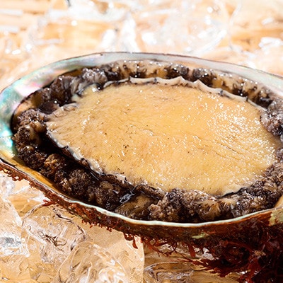 【三陸重茂産】天然　蝦夷あわび(2号品) 1kg(冷凍)【配送不可地域：離島】