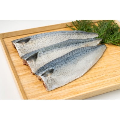 さば　フィーレ・フィレ　2kg【配送不可地域：離島】