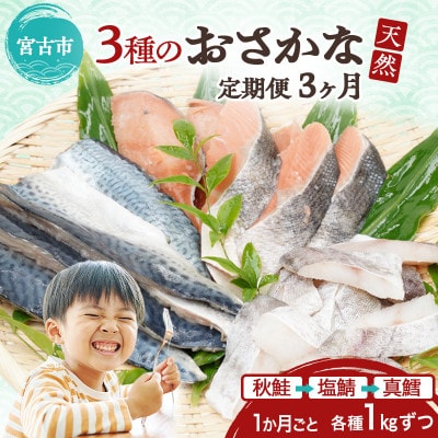 【3ヵ月毎定期便】三陸で獲れた人気の天然魚3種セットの定期便全3回【配送不可地域：離島】