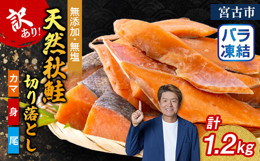 【訳あり】秋鮭切り落とし(カマ・身・尾)300g×4袋セット【配送不可地域：離島】