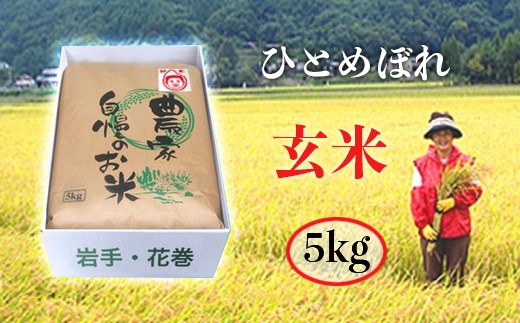 【12ヶ月定期便】減農薬栽培 ひとめぼれ玄米5kg 【1110】