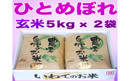 【6ヶ月定期便】減農薬栽培 ひとめぼれ 玄米 10kg（5kgx2袋） 【1112】