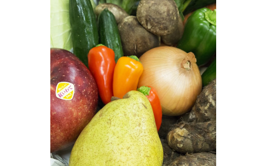 【定期便6ヶ月】イーハトーヴ野菜C もりもりセット 11品～ 詰め合わせ＜予約受付2026年4月より発送開始＞ 【1209】