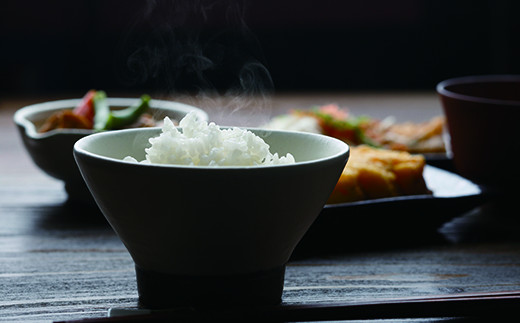 《 令和７年産米 》花巻ひとめぼれ10kg 【1664】