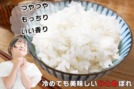 花巻産ひとめぼれ 10kg（5kg×2袋） 令和6年産 【1928】