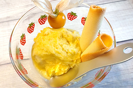 ネクスファームのゴールデンベリープレミアムアイス　6個入りセット 【1939】