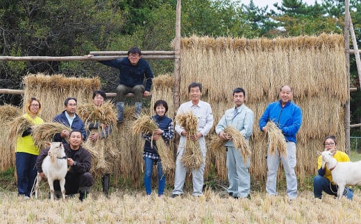 有機JASみずほ米 ひとめぼれ 玄米 20kg (10kg×2袋) 【1995】