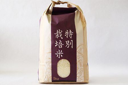 【3ヶ月定期便】 銀河のしずく厳選プレミアム（減農薬・減化学肥料）5kg 【2015】