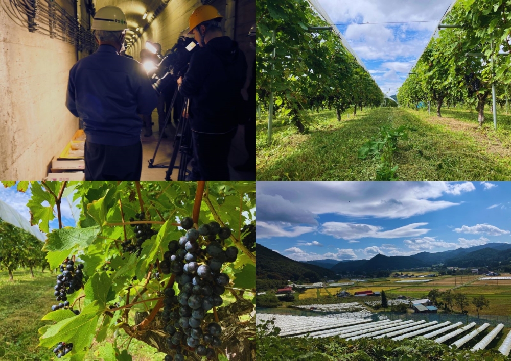 【数量限定】「早池峰の恵み」モリタワイン　ダム貯蔵熟成　赤・白ワイン 年代別飲み比べコンプリートセット 【2199】