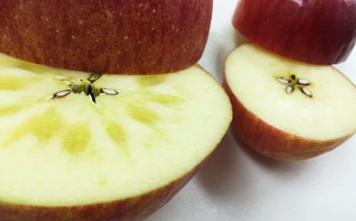 イーハトーヴ 訳アリ りんご 約５ｋｇセット《2025年1月より発送予定/予約受付》 【280-1】